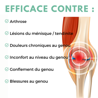 Masseur de Genou TheraMedic